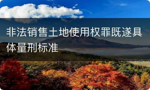 非法销售土地使用权罪既遂具体量刑标准