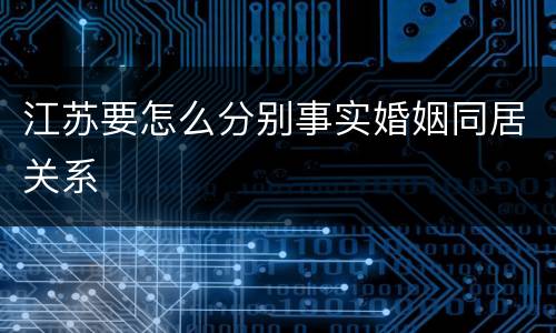 江苏要怎么分别事实婚姻同居关系