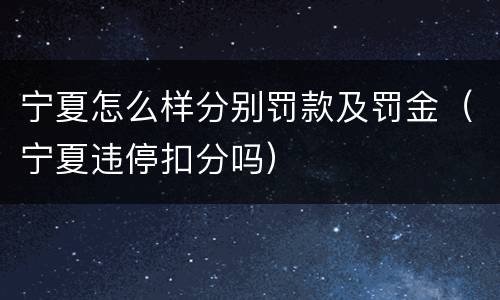 宁夏怎么样分别罚款及罚金（宁夏违停扣分吗）