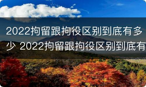 2022拘留跟拘役区别到底有多少 2022拘留跟拘役区别到底有多少天