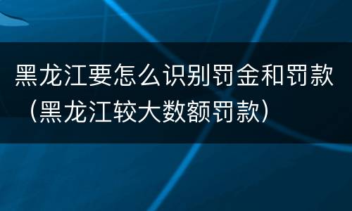 黑龙江要怎么识别罚金和罚款（黑龙江较大数额罚款）
