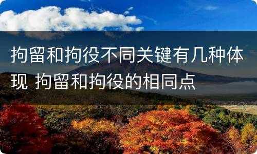 拘留和拘役不同关键有几种体现 拘留和拘役的相同点