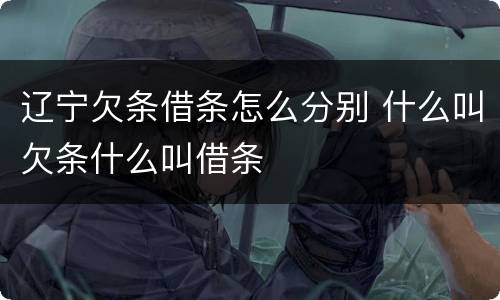 辽宁欠条借条怎么分别 什么叫欠条什么叫借条