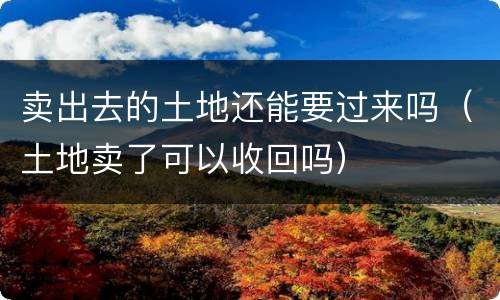 卖出去的土地还能要过来吗（土地卖了可以收回吗）