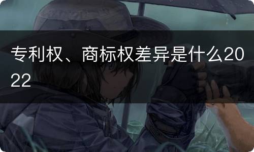 专利权、商标权差异是什么2022