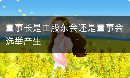 董事长是由股东会还是董事会选举产生