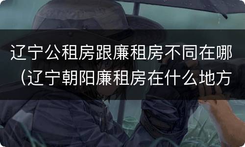 辽宁公租房跟廉租房不同在哪（辽宁朝阳廉租房在什么地方）