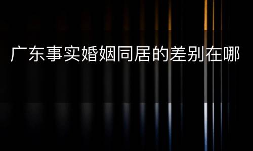 广东事实婚姻同居的差别在哪
