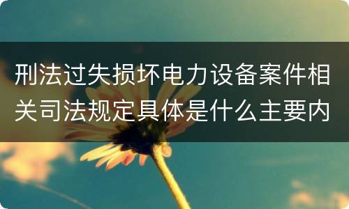 刑法过失损坏电力设备案件相关司法规定具体是什么主要内容