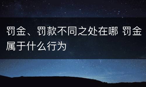 罚金、罚款不同之处在哪 罚金属于什么行为