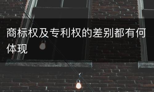 商标权及专利权的差别都有何体现