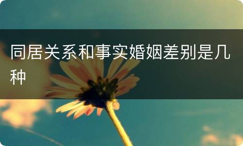 同居关系和事实婚姻差别是几种