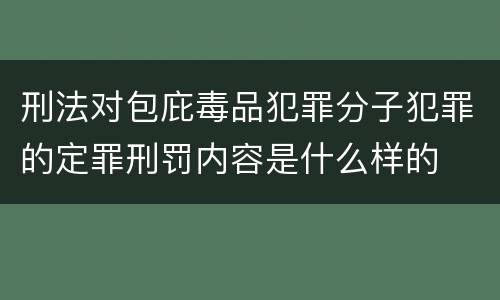 刑法对包庇毒品犯罪分子犯罪的定罪刑罚内容是什么样的