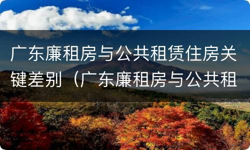 广东廉租房与公共租赁住房关键差别（广东廉租房与公共租赁住房关键差别是什么）