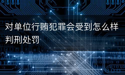 对单位行贿犯罪会受到怎么样判刑处罚