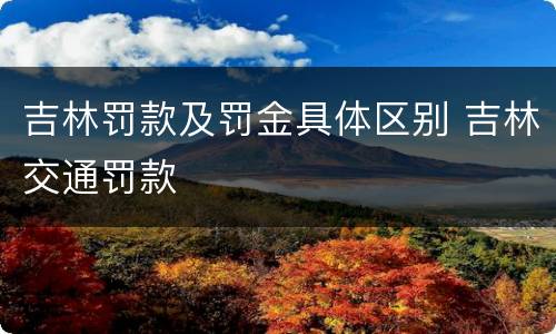 吉林罚款及罚金具体区别 吉林交通罚款