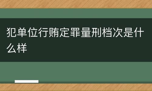 犯单位行贿定罪量刑档次是什么样