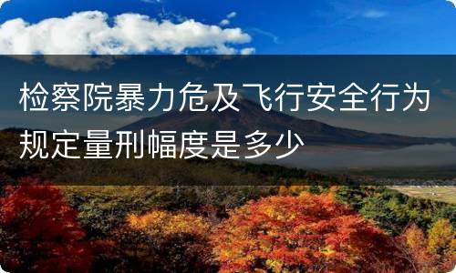 检察院暴力危及飞行安全行为规定量刑幅度是多少
