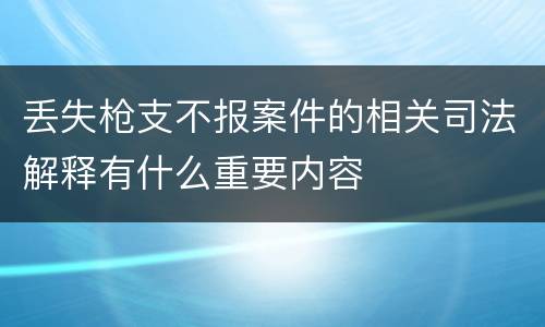 丢失枪支不报案件的相关司法解释有什么重要内容