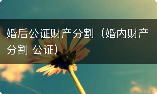 婚后公证财产分割（婚内财产分割 公证）