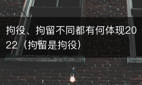 拘役、拘留不同都有何体现2022（拘留是拘役）