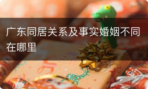 广东同居关系及事实婚姻不同在哪里