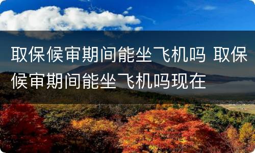 取保候审期间能坐飞机吗 取保候审期间能坐飞机吗现在
