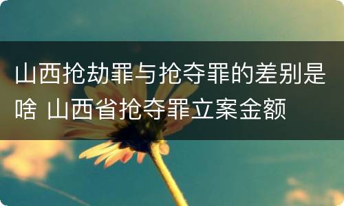 山西抢劫罪与抢夺罪的差别是啥 山西省抢夺罪立案金额