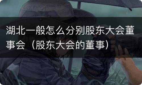湖北一般怎么分别股东大会董事会（股东大会的董事）