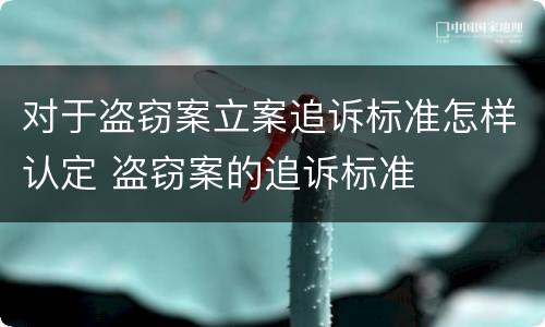 对于盗窃案立案追诉标准怎样认定 盗窃案的追诉标准