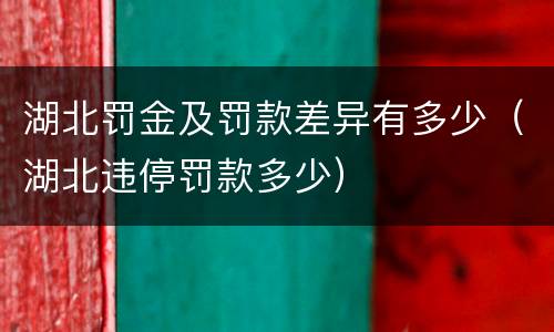 湖北罚金及罚款差异有多少（湖北违停罚款多少）