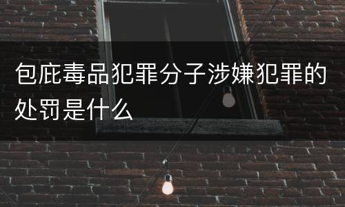 包庇毒品犯罪分子涉嫌犯罪的处罚是什么