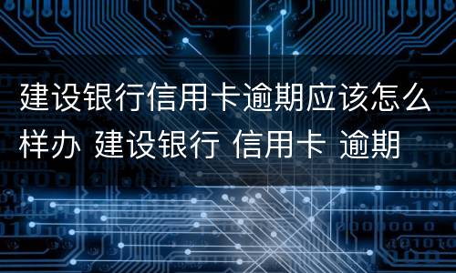 建设银行信用卡逾期应该怎么样办 建设银行 信用卡 逾期