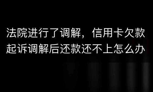 法院进行了调解，信用卡欠款起诉调解后还款还不上怎么办