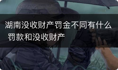 湖南没收财产罚金不同有什么 罚款和没收财产