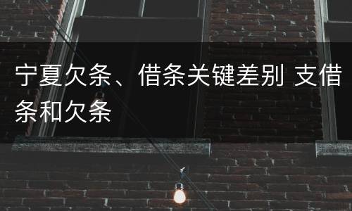 宁夏欠条、借条关键差别 支借条和欠条