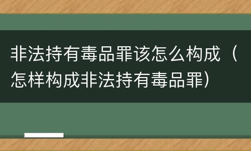 非法持有毒品罪该怎么构成（怎样构成非法持有毒品罪）