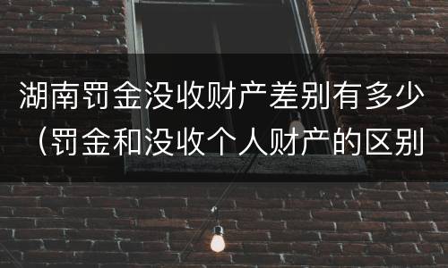 湖南罚金没收财产差别有多少（罚金和没收个人财产的区别）