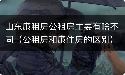 山东廉租房公租房主要有啥不同（公租房和廉住房的区别）