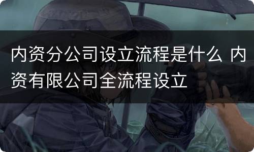 内资分公司设立流程是什么 内资有限公司全流程设立