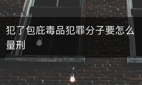 犯了包庇毒品犯罪分子要怎么量刑