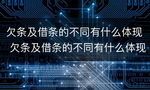 欠条及借条的不同有什么体现 欠条及借条的不同有什么体现吗