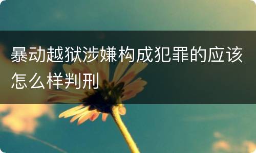 暴动越狱涉嫌构成犯罪的应该怎么样判刑
