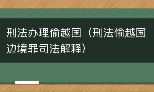 刑法办理偷越国（刑法偷越国边境罪司法解释）