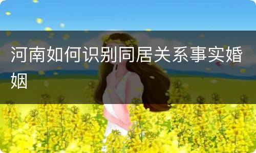 河南如何识别同居关系事实婚姻