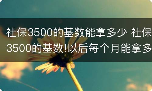 社保3500的基数能拿多少 社保3500的基数!以后每个月能拿多少钱