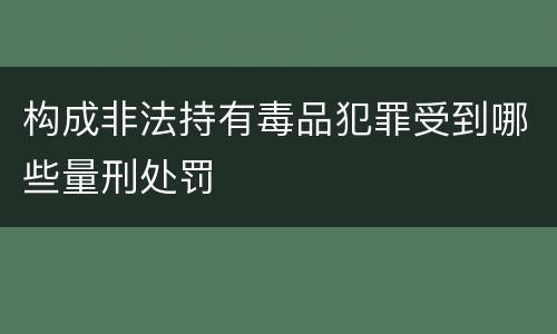 构成非法持有毒品犯罪受到哪些量刑处罚