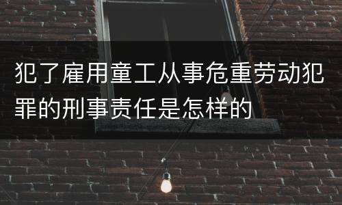 犯了雇用童工从事危重劳动犯罪的刑事责任是怎样的
