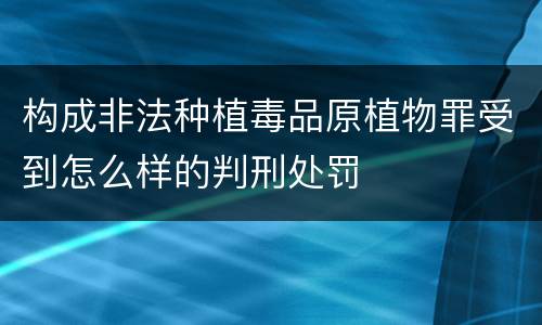 构成非法种植毒品原植物罪受到怎么样的判刑处罚