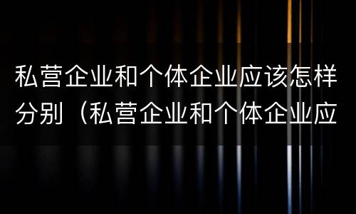 私营企业和个体企业应该怎样分别（私营企业和个体企业应该怎样分别管理）